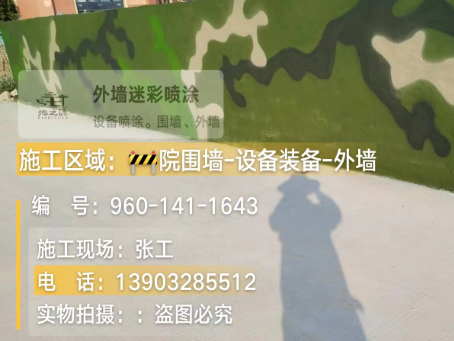 虹口 迷彩漆喷涂价格（按平方米计费）